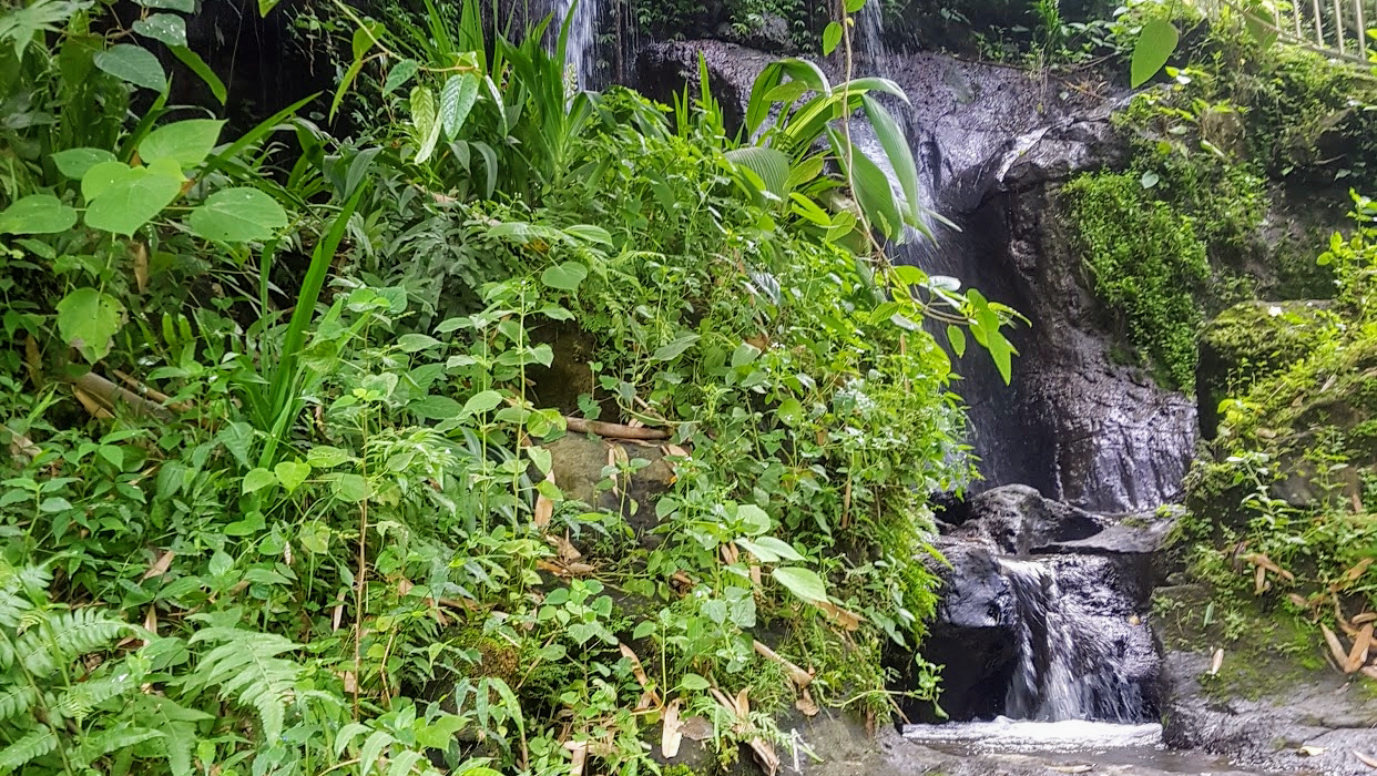 발리 베지 힐 폭포 명소