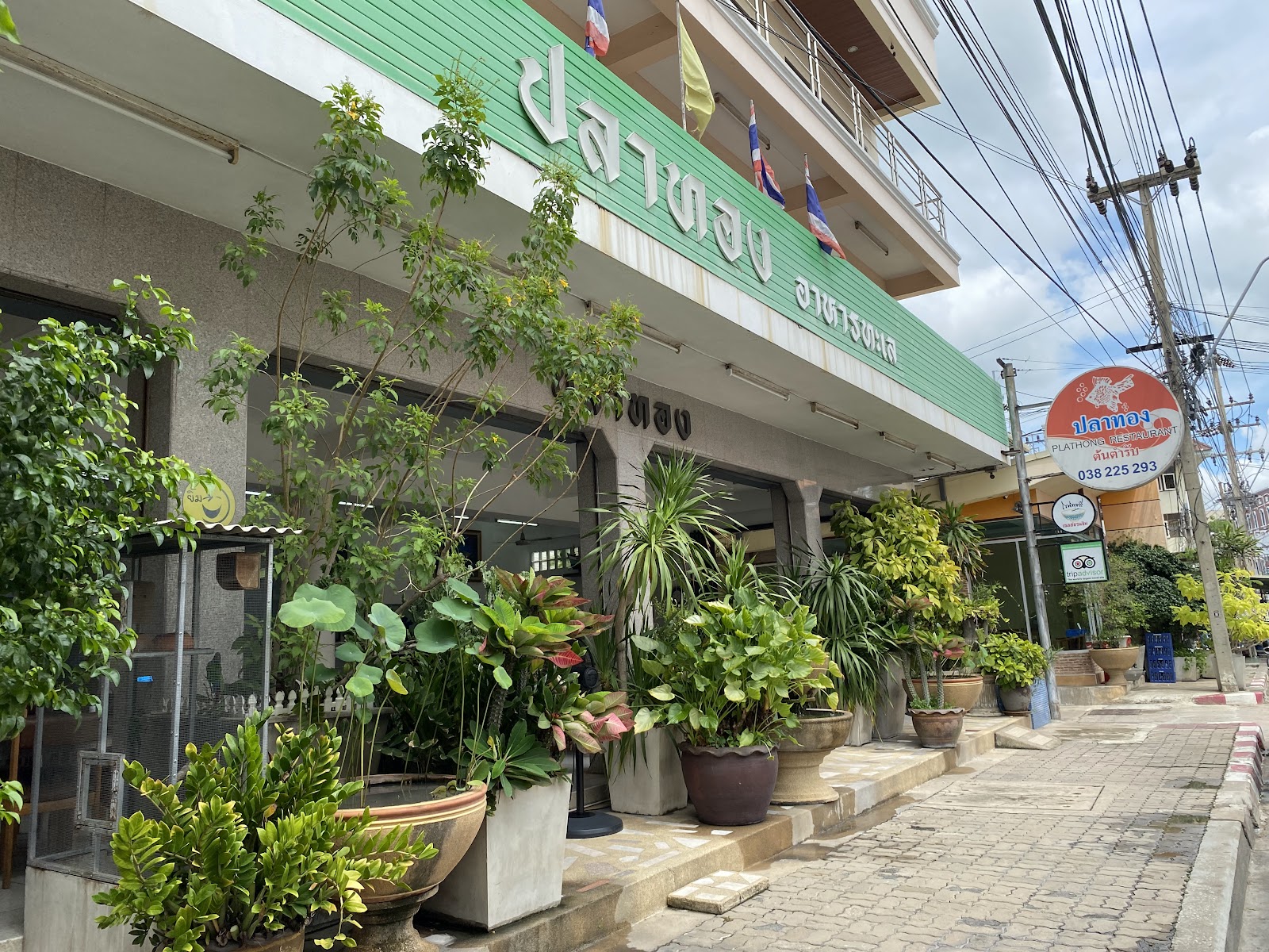 파타야 원조 플라통 식당 인기 음식점 사진