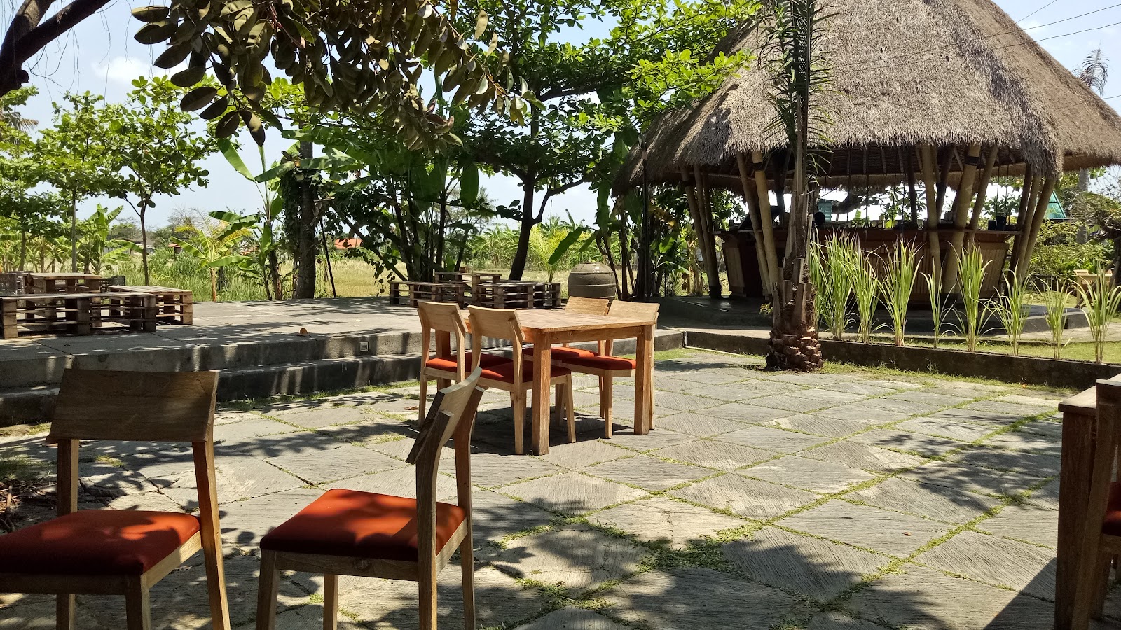 발리 논밭 식당 주변 명소 사진