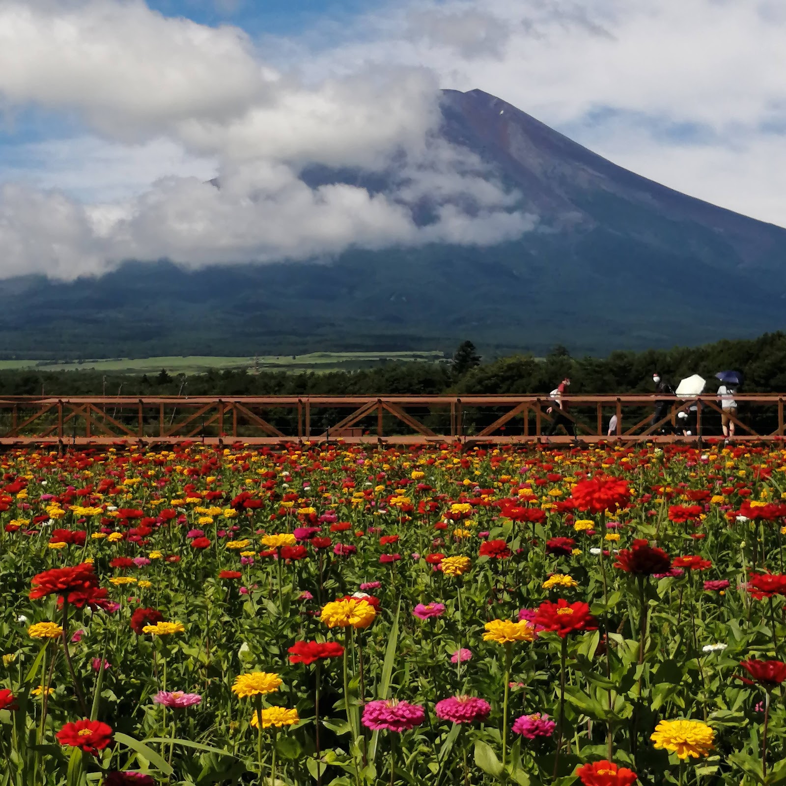 야마나카코 꽃의 도시 공원 주변 명소 사진