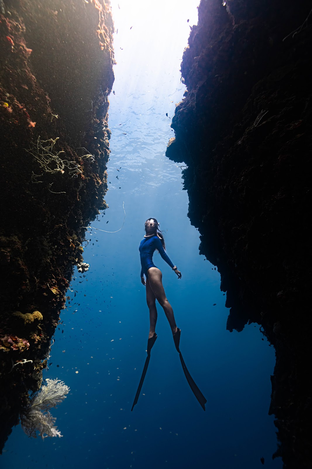 보홀 나팔링 대균열 주변 명소 사진