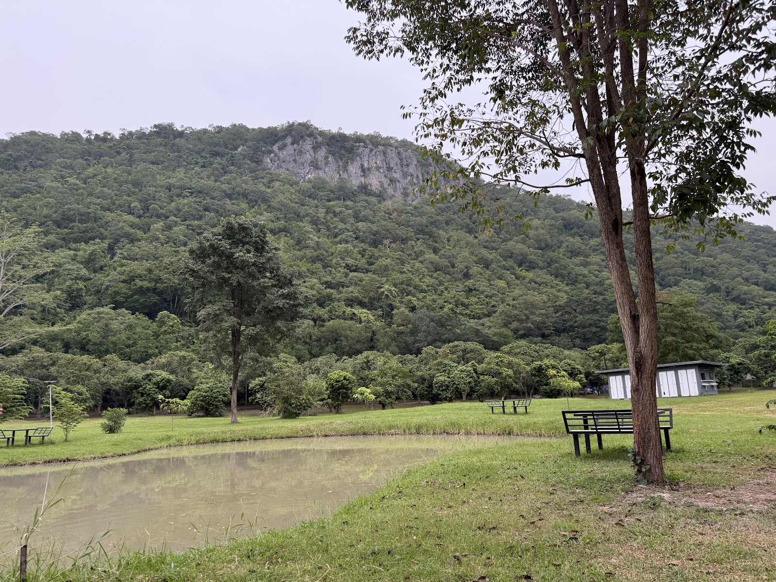 카오야이 ข้าง_KhAo_Camping_ลานกางเต็นท์Private 주변 명소 사진