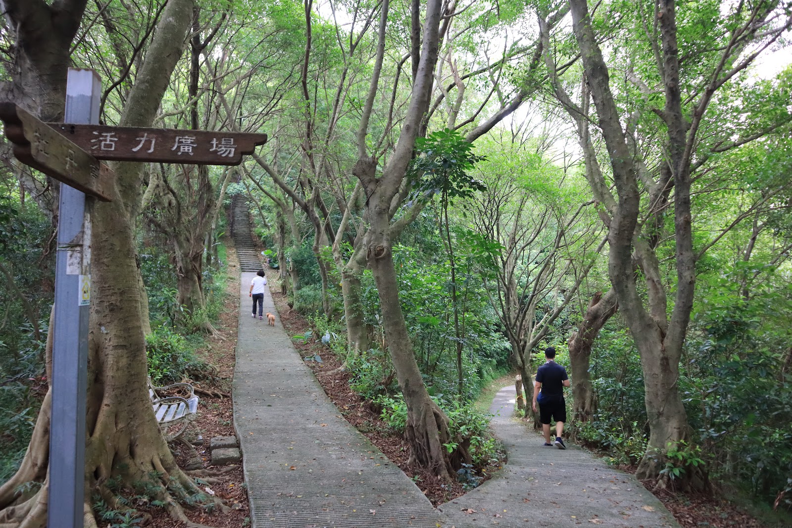 타이베이 신장 청년 공원 주변 명소 사진