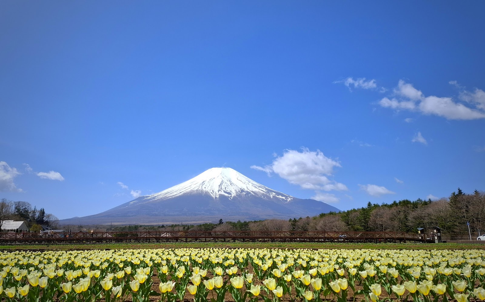 야마나카코 꽃의 도시 공원 후라라 주변 명소 사진
