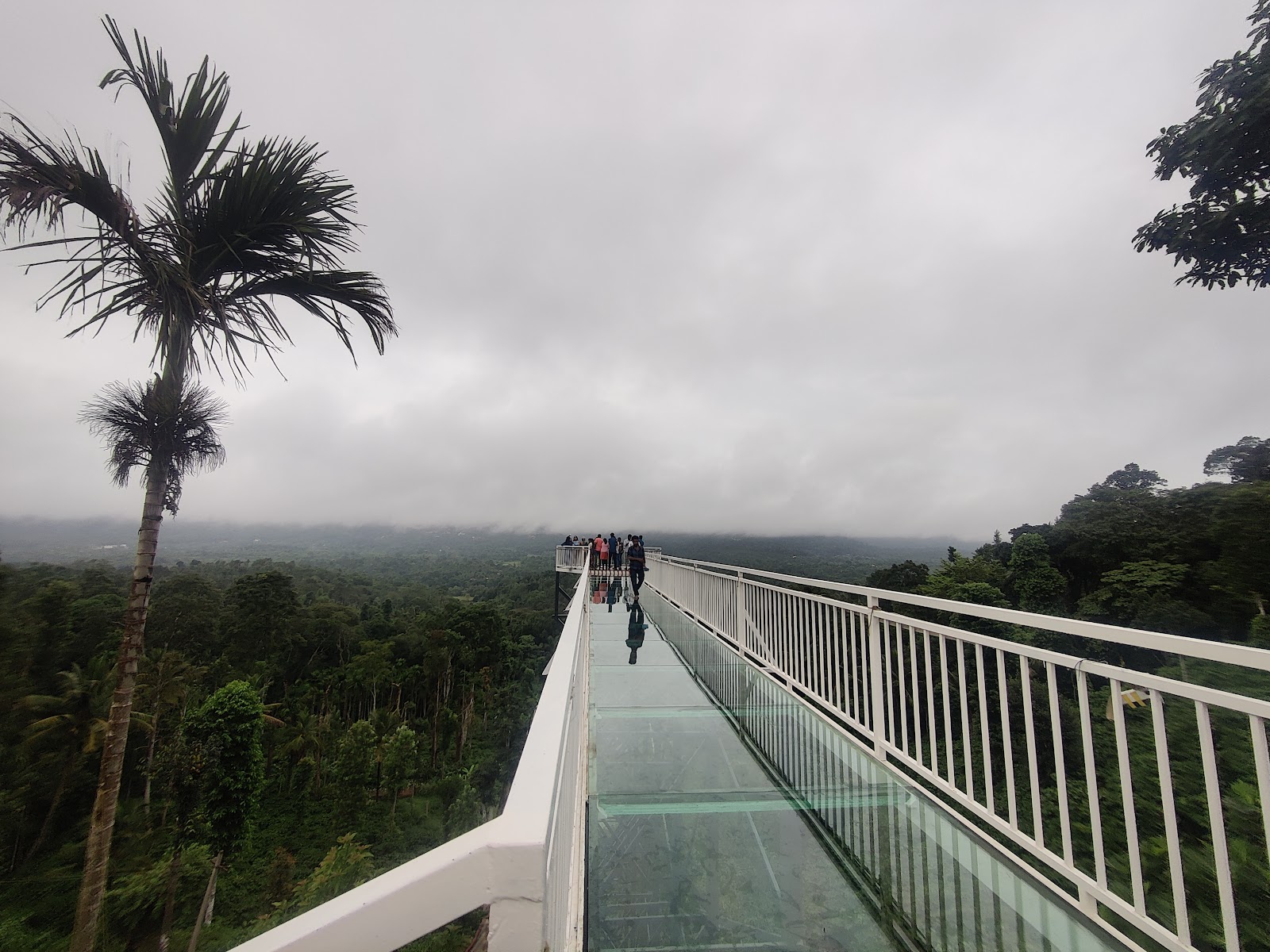 쿠르그 Pappy's Bridge Of Coorg 주변 명소 사진