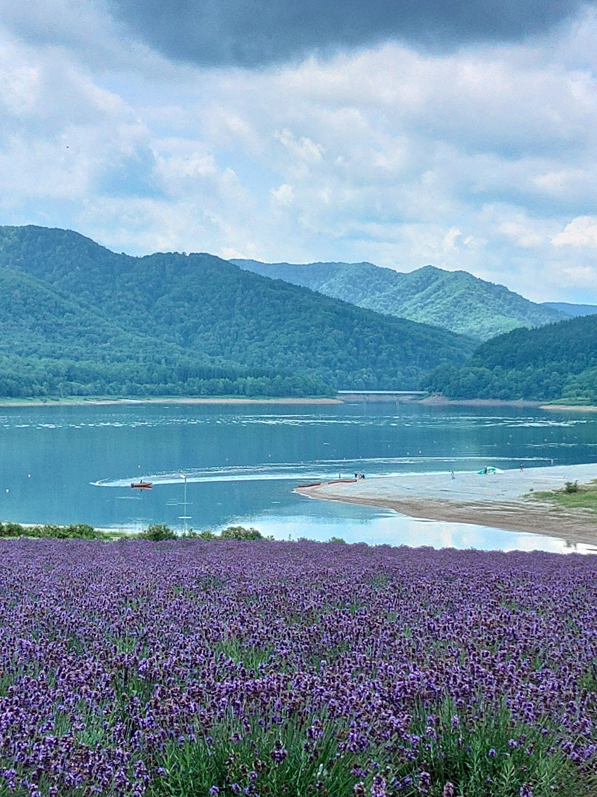 후라노 카나야마코 산림공원 주변 명소 사진