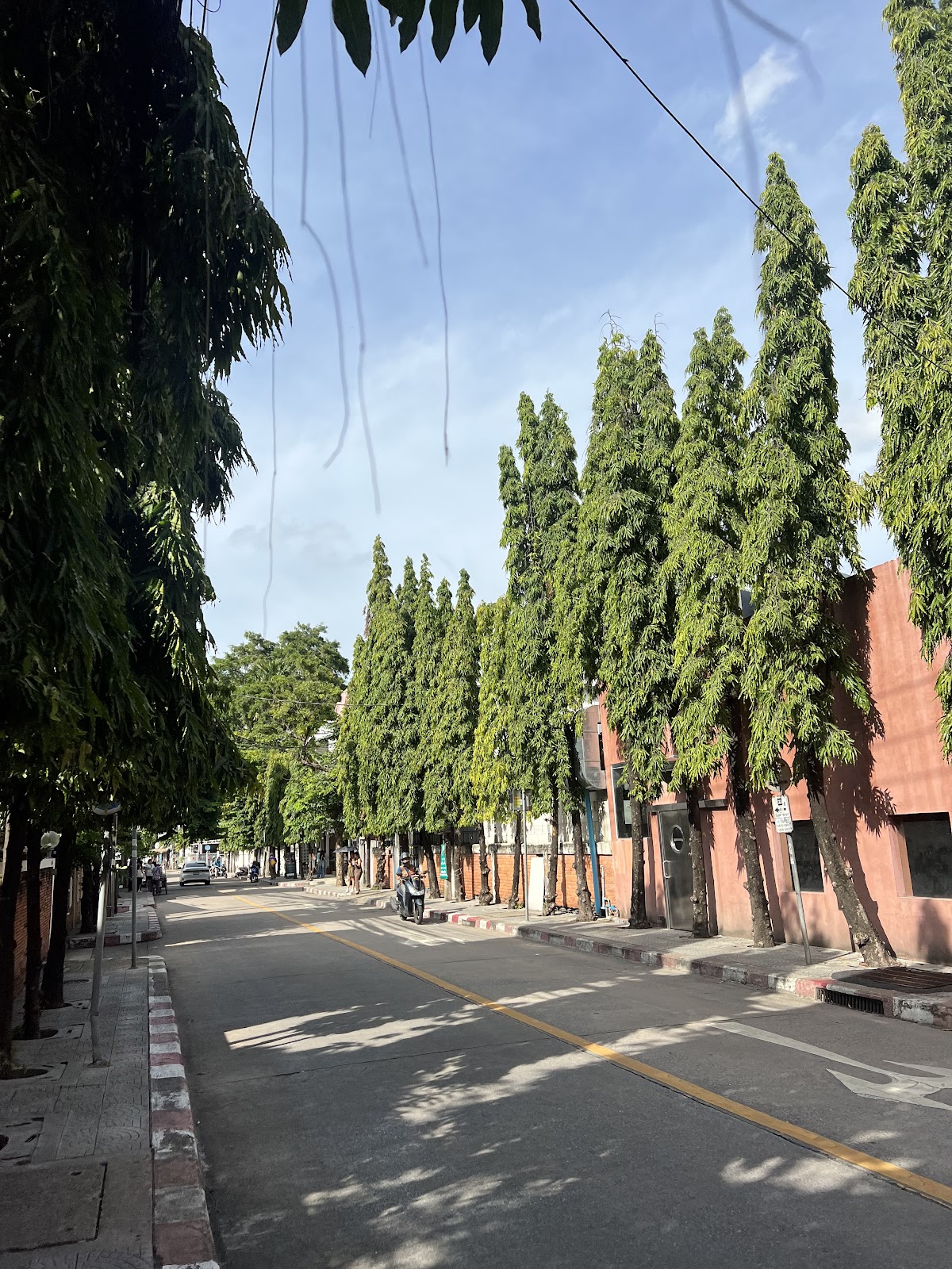 방콕 컨버스 도시 숲 아리 주변 명소 사진