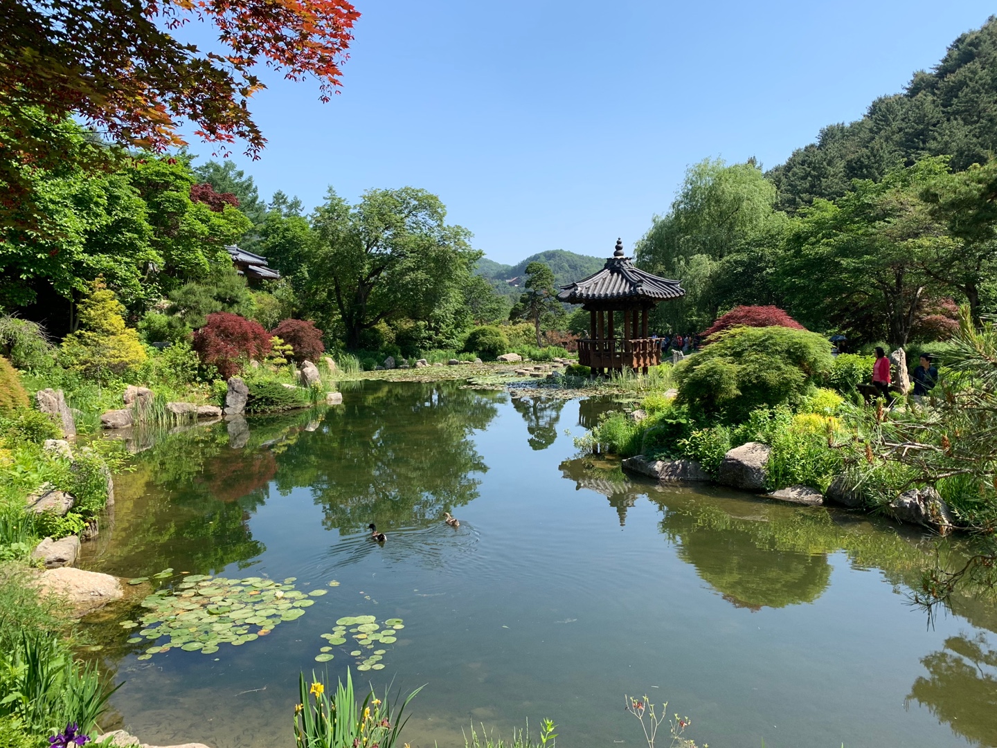 가평 아침고요가족동물원 주변 명소 사진