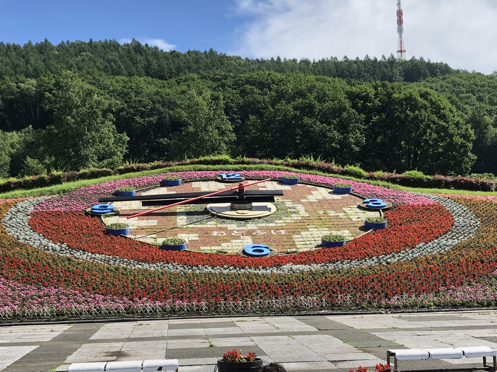 도가치 토카치가오카 공원 / 꽃시계 하나쿠 주변 명소 사진