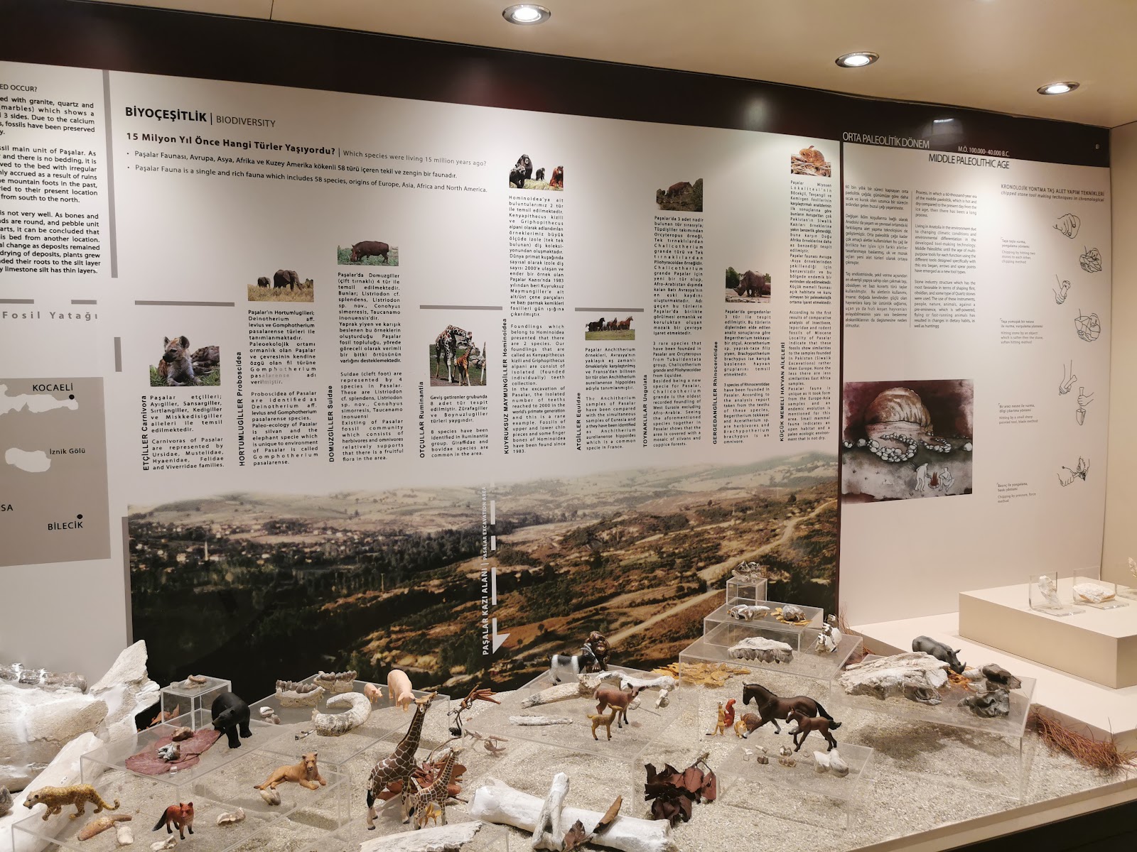 부르사 부르사 고고학 박물관 주변 명소 사진