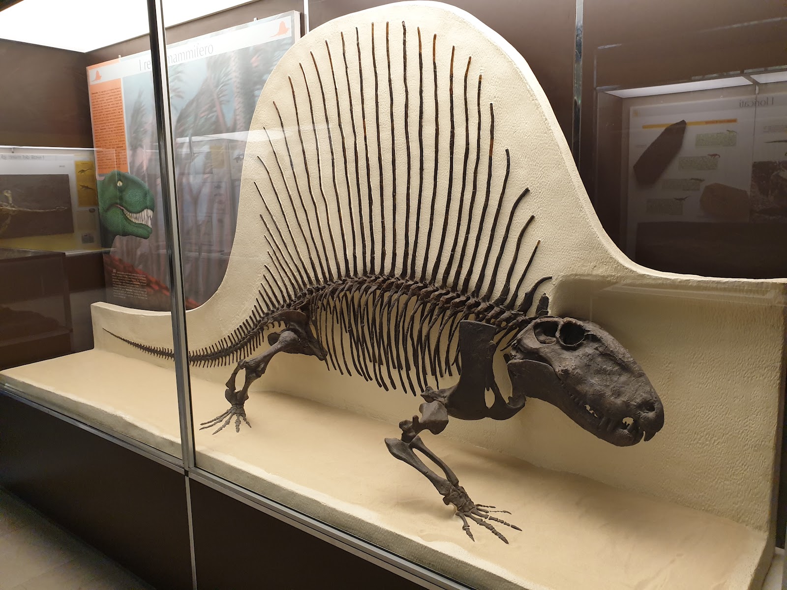 밀라노 밀라노 자연사 박물관 주변 명소 사진