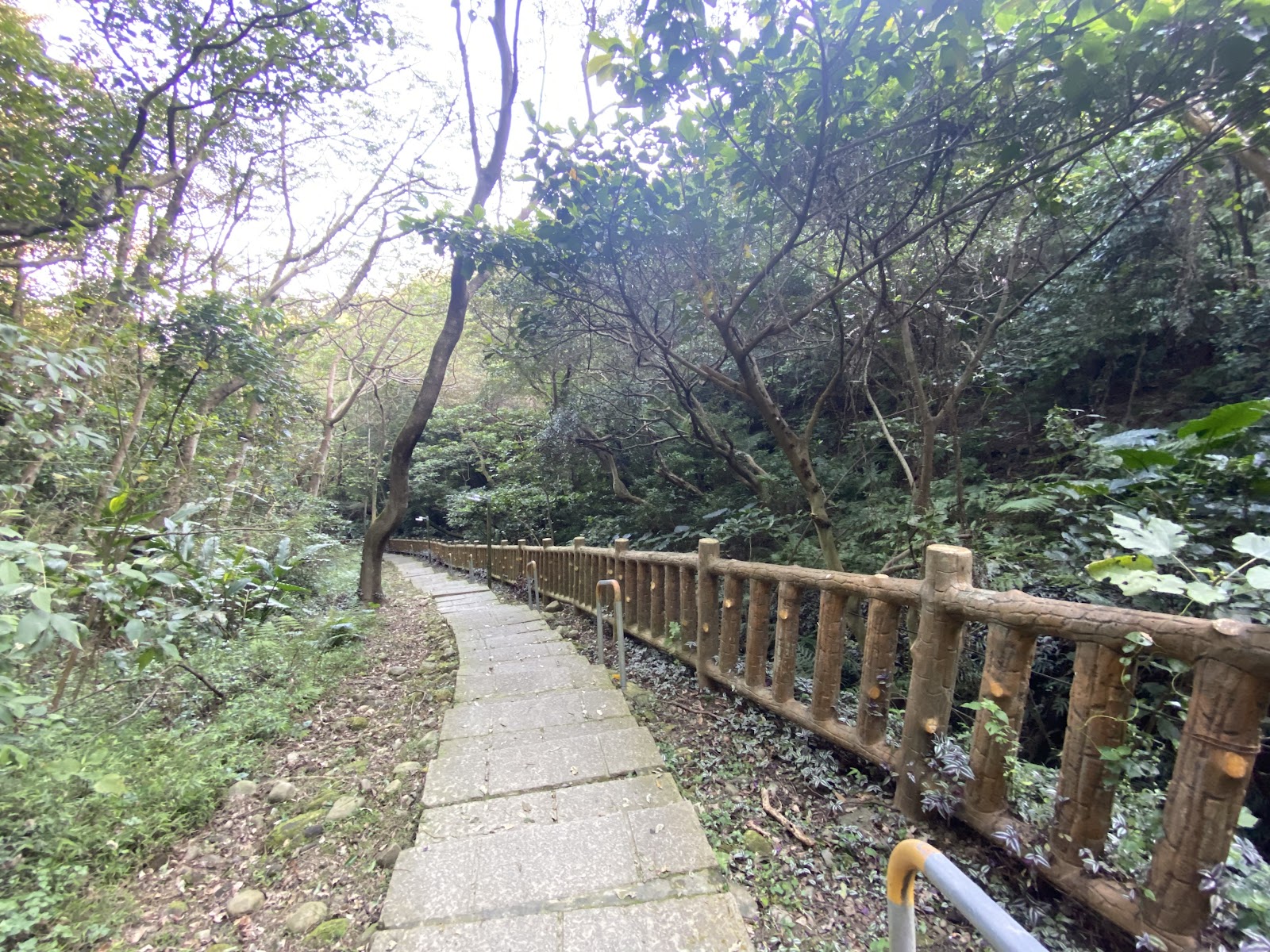 타이베이 장뇌료 보도 주변 명소 사진