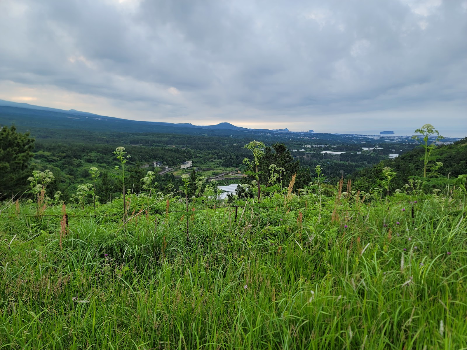 제주 우보름우보악 주변 명소 사진