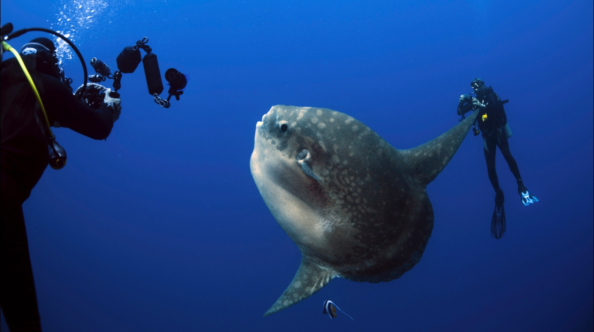 발리 듄 아틀란티스 발리 주변 명소 사진