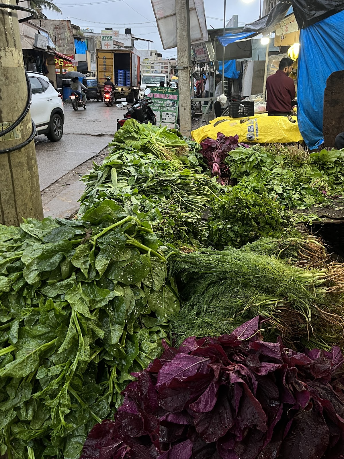 방갈로르 시카리팔야 교차로 주변 명소 사진