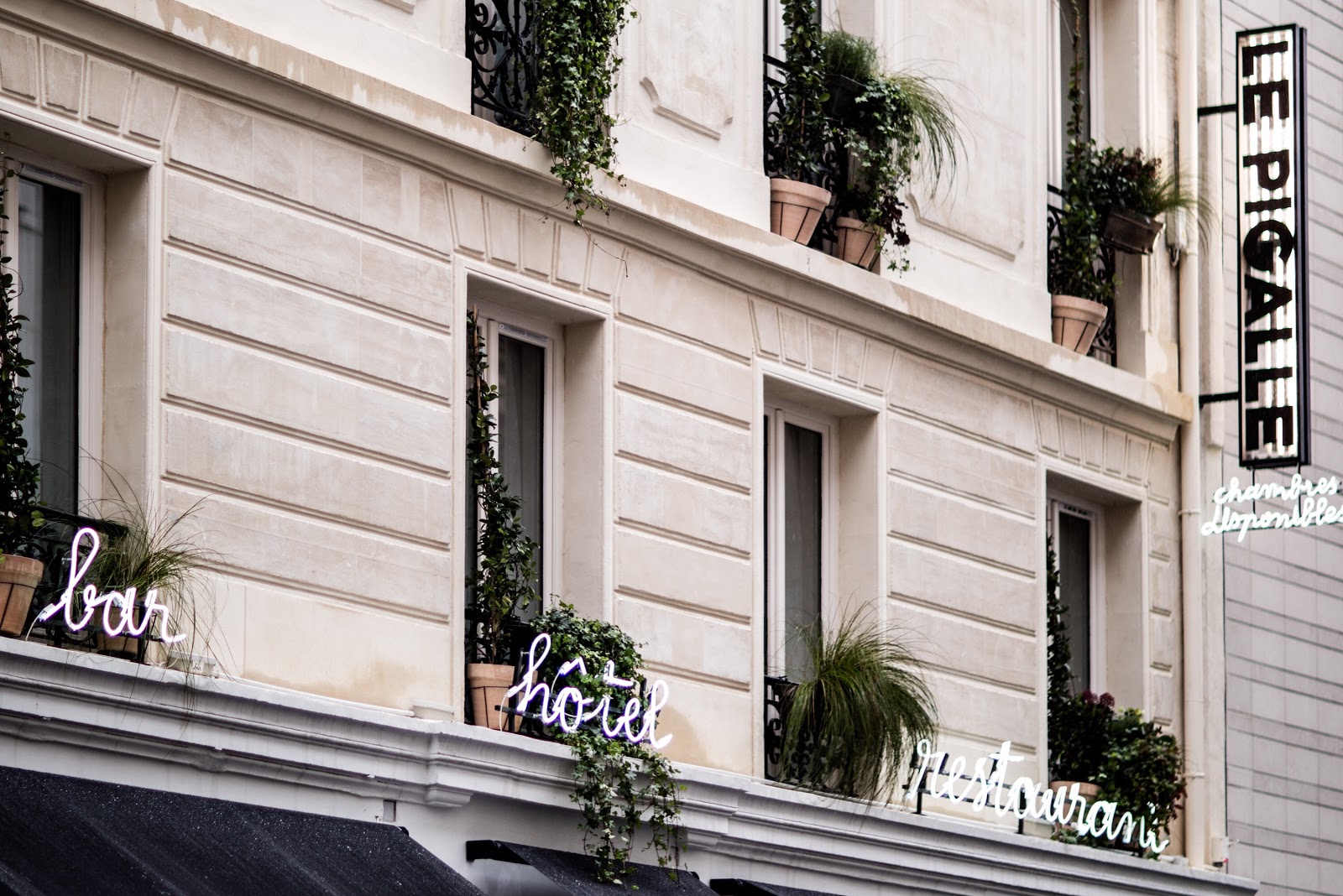 파리 르 피갈 근처 맛집 사진