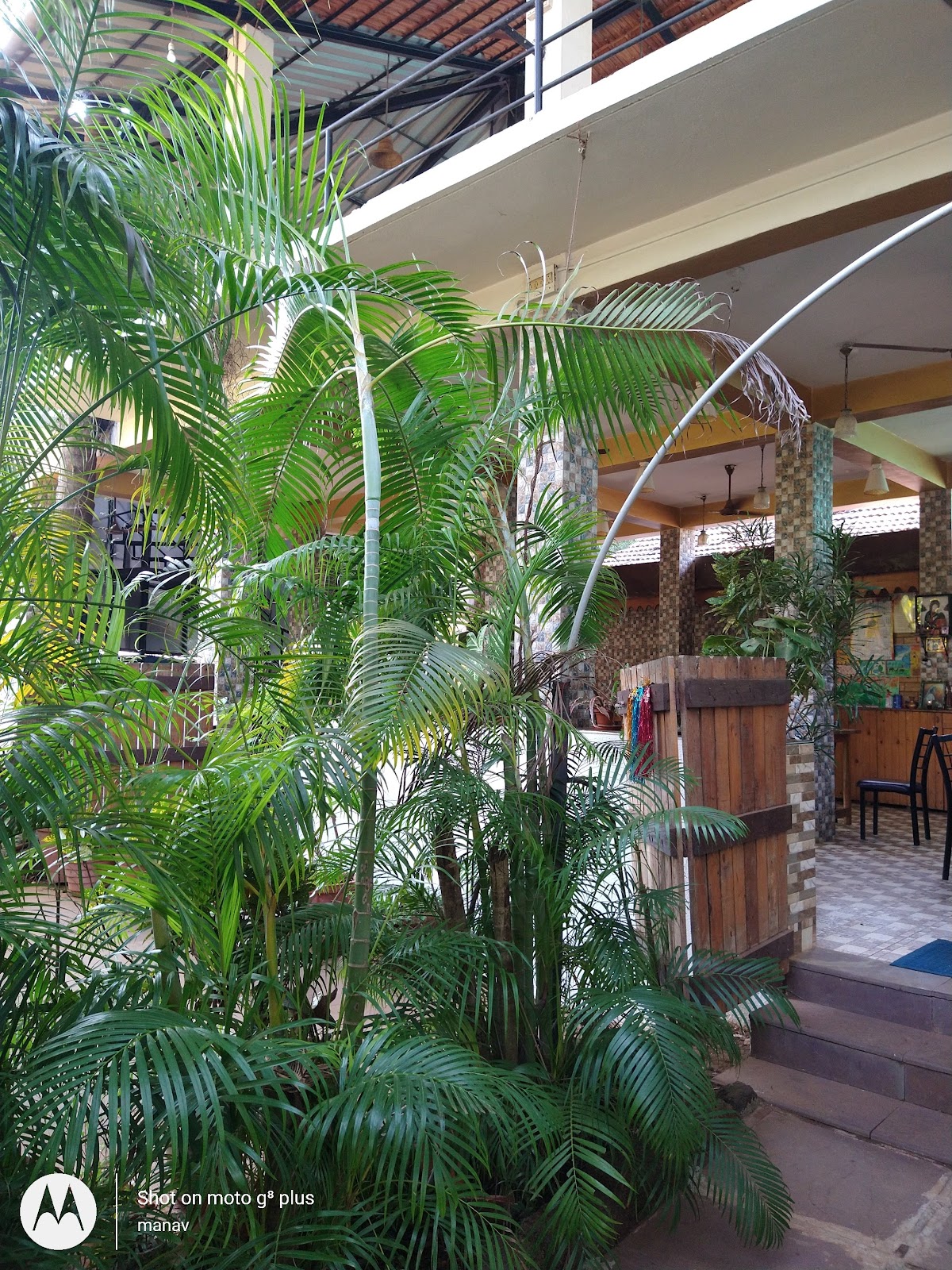 고아 블루 버드 근처 맛집 사진