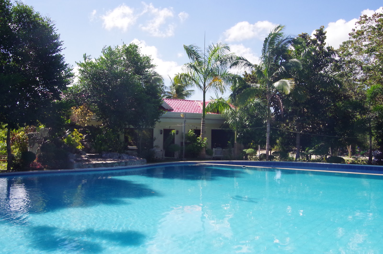 보홀 알미라 다이빙 리조트 근처 맛집 사진