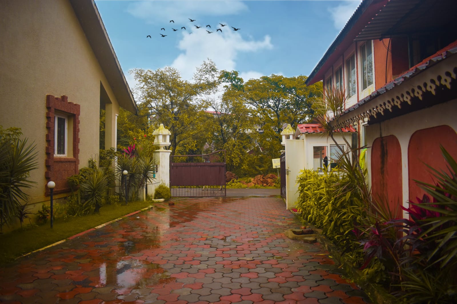 고아 지티 부티크 리조트 근처 맛집 사진