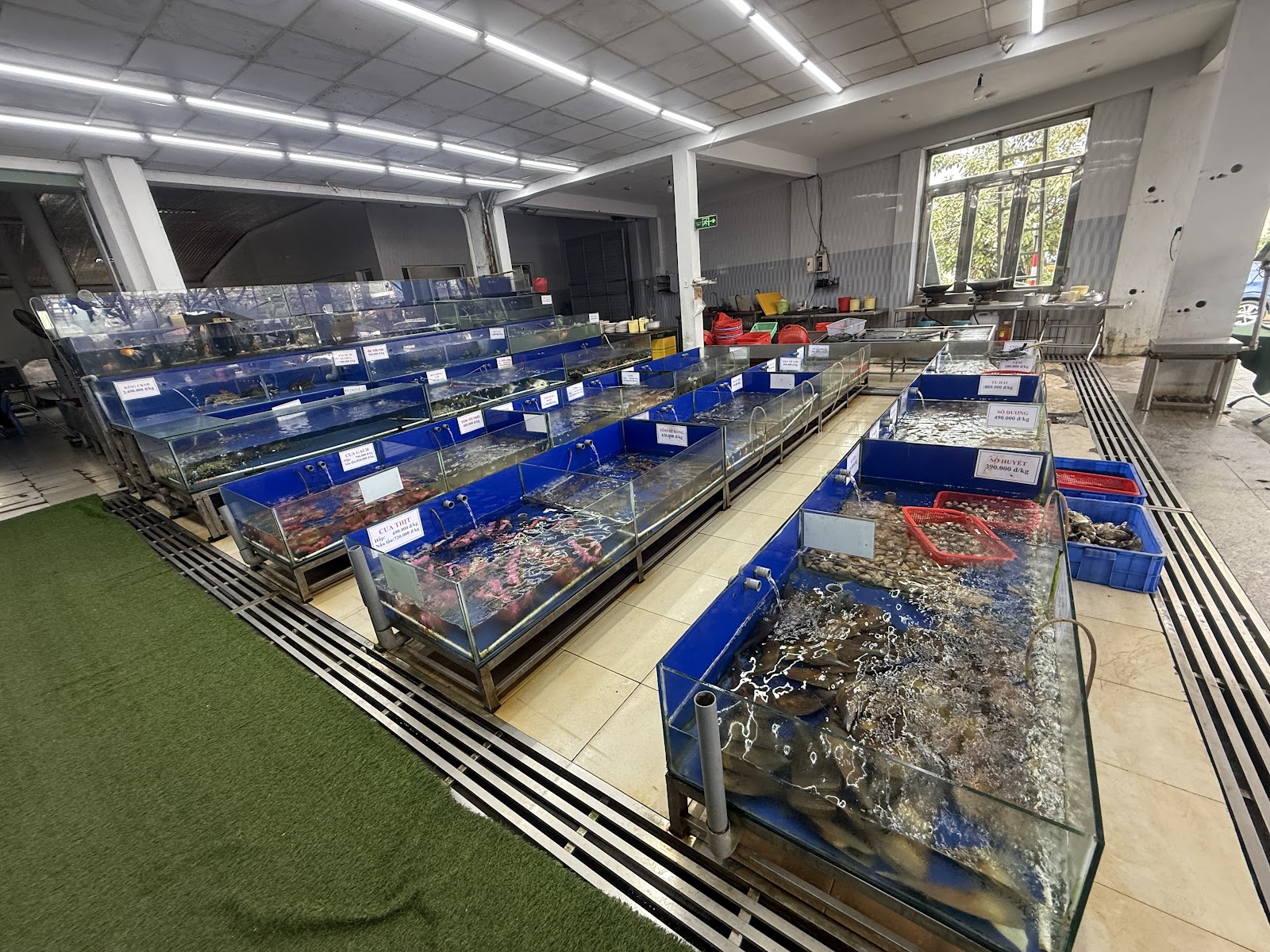 다낭 프억 타이 식당 근처 맛집 사진