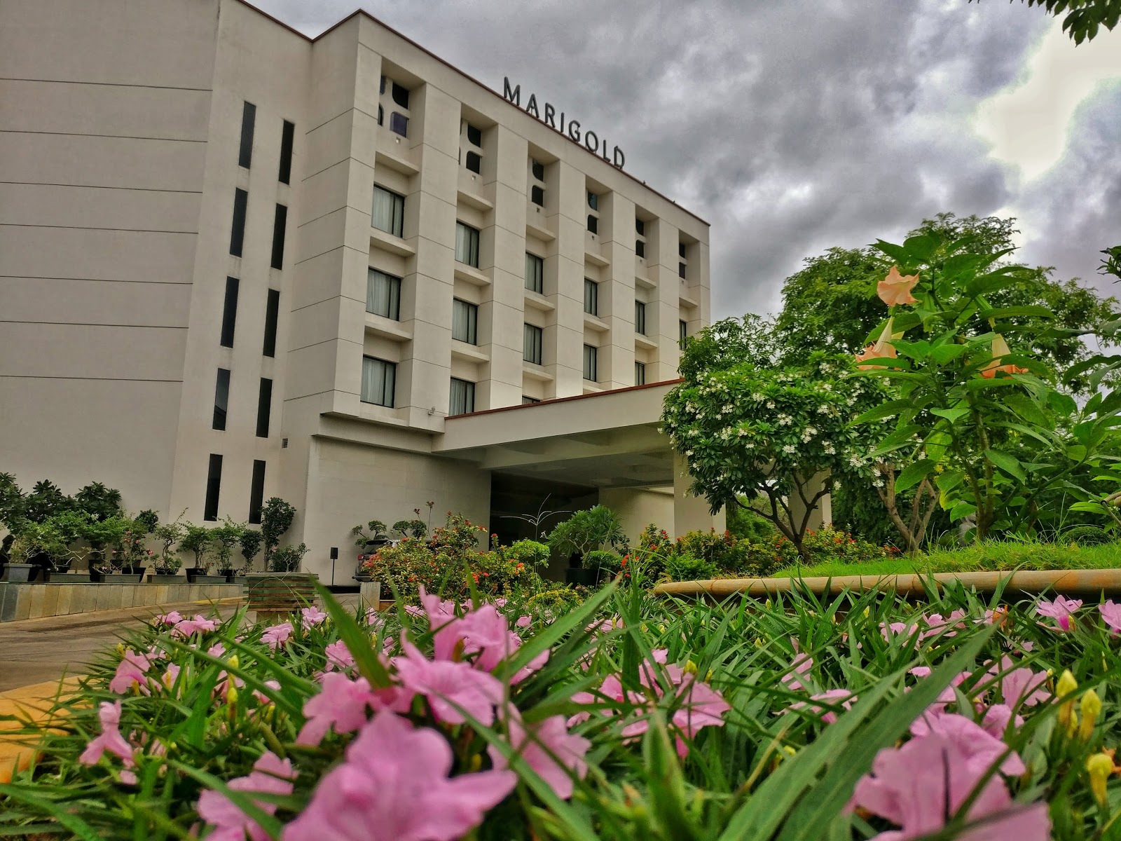 하이데라바드 Marigold Hotel 근처 맛집 사진