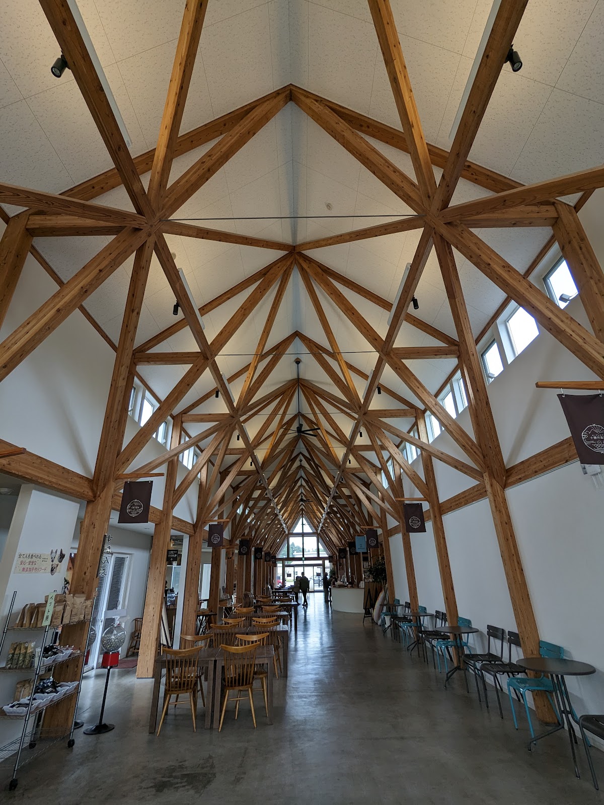 도가치 도카치의 피자와 파스타 테이블 베지 근처 맛집 사진